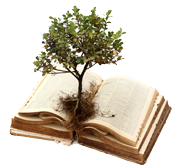 image: book and tree